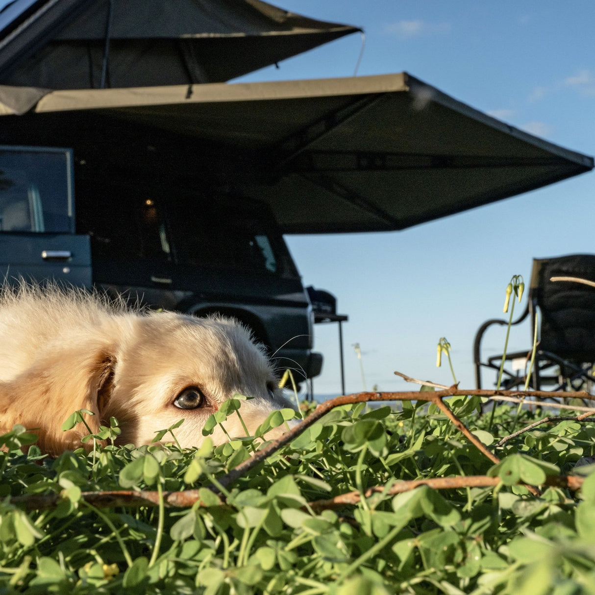 270 XT Awning Mk2 - The Bush Company