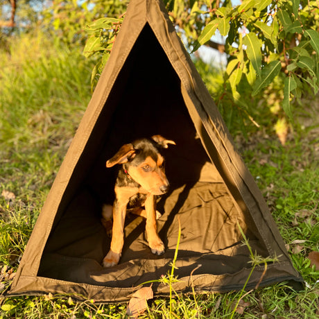 Dog Swag - The Bush Company