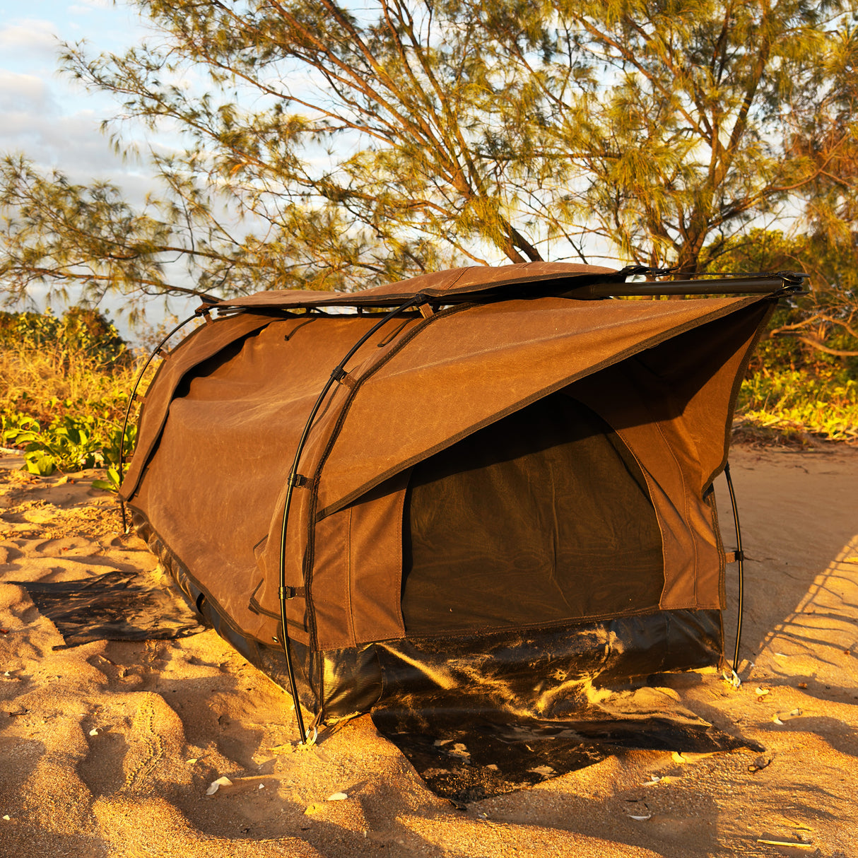 A brown camping swag with a black frame is pitched in sandy ground near trees during golden hour.